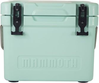 Insulated Hard Ice Chest with Durable Double-Walled Rotomolded Construction, Great for On-The-Go Recreational Activities (Color: Seafoam Green)